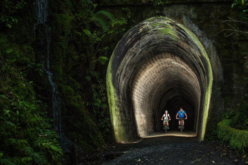 Remutaka Cycle Trail